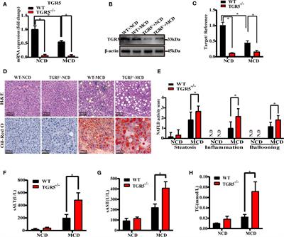 <mark class="highlighted">TGR5</mark> Regulates Macrophage Inflammation in Nonalcoholic Steatohepatitis by Modulating NLRP3 Inflammasome Activation